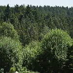 Schwarzwald Rothaus Szálloda 4*
