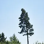 Schwarzwald Rothaus Szálloda Grafenhausen