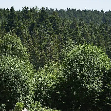 Schwarzwald Rothaus Hotel 4*