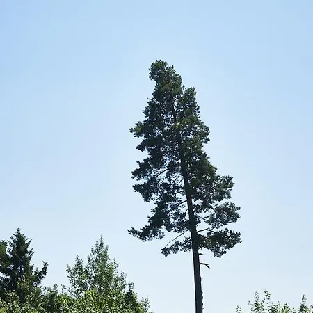 Schwarzwald Rothaus Ξενοδοχείο Grafenhausen