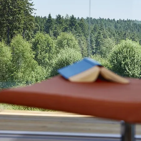 Hotel Schwarzwald Rothaus Grafenhausen