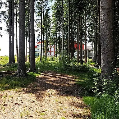 Schwarzwald Rothaus Ξενοδοχείο Grafenhausen