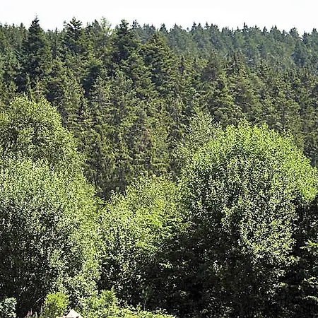 Schwarzwald Rothaus Ξενοδοχείο 4*