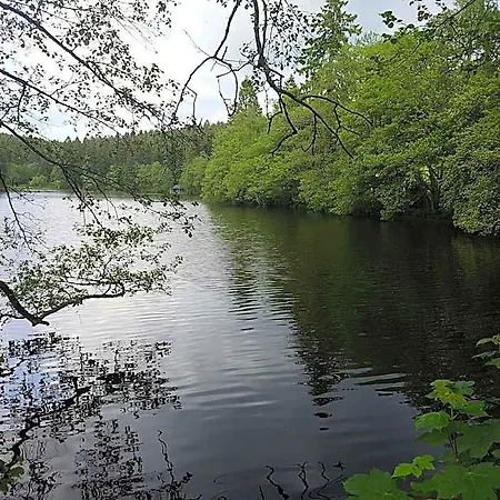 Schwarzwald Rothaus Ξενοδοχείο Grafenhausen
