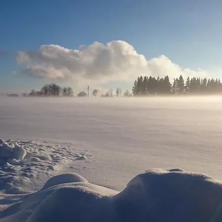 Hotel Schwarzwald Rothaus Grafenhausen