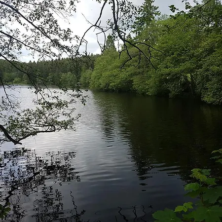 Hotel Schwarzwald Rothaus 4*